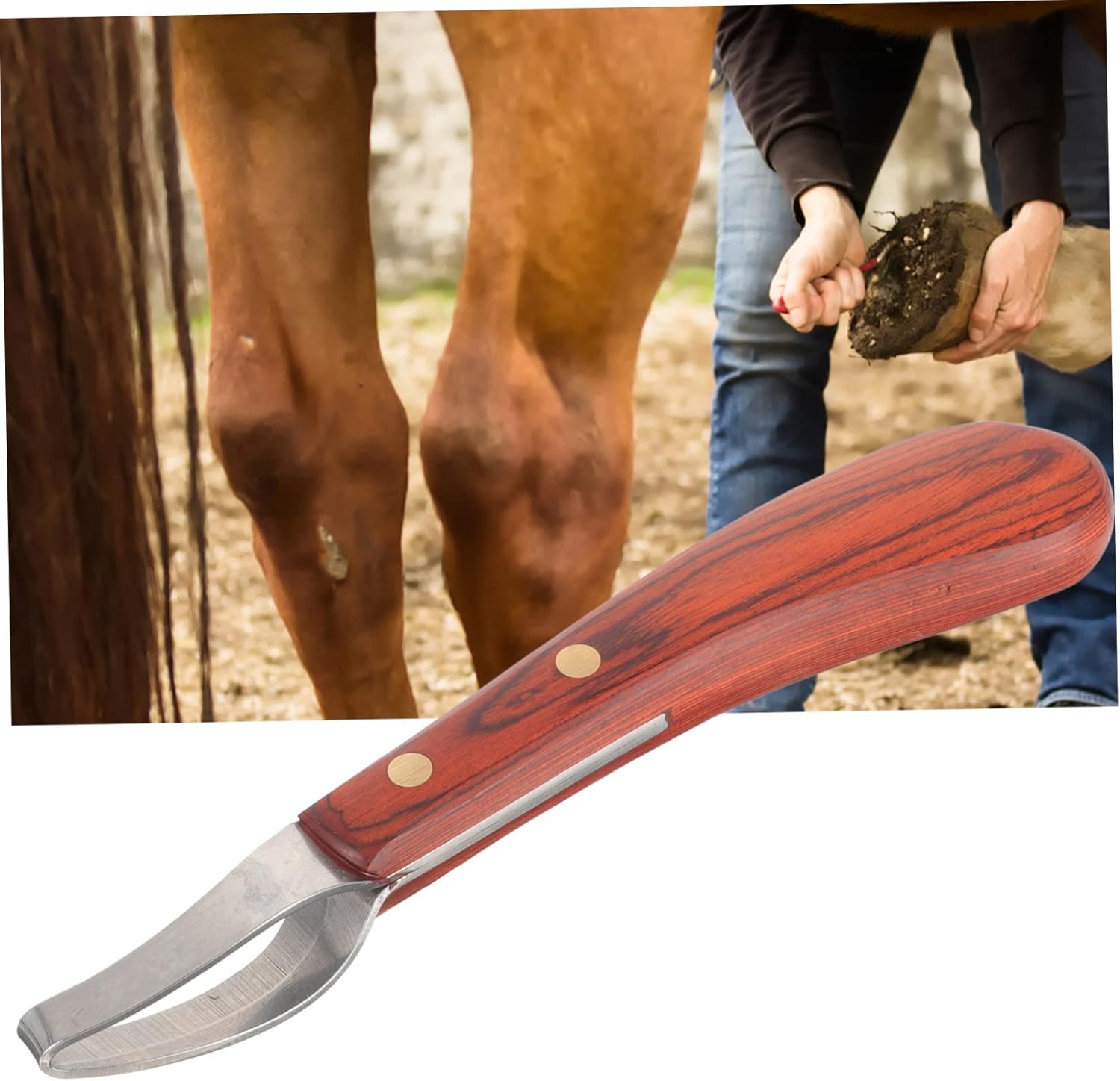 Didiseaon 2pcs Wear-Resistant Manganese Steel Hoof Cutter Trimming Tool Handle for Daily Farrier Use and Pasture Accessory