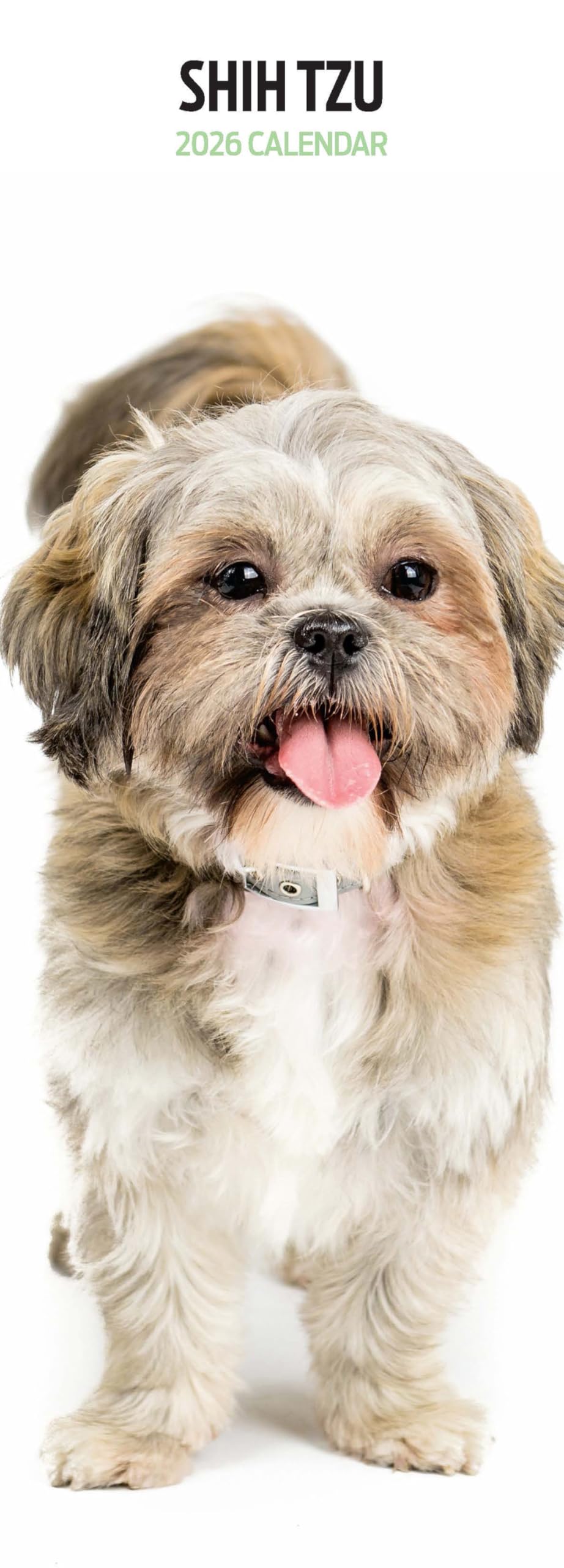 Shih Tzu 2026 Slim Calendar