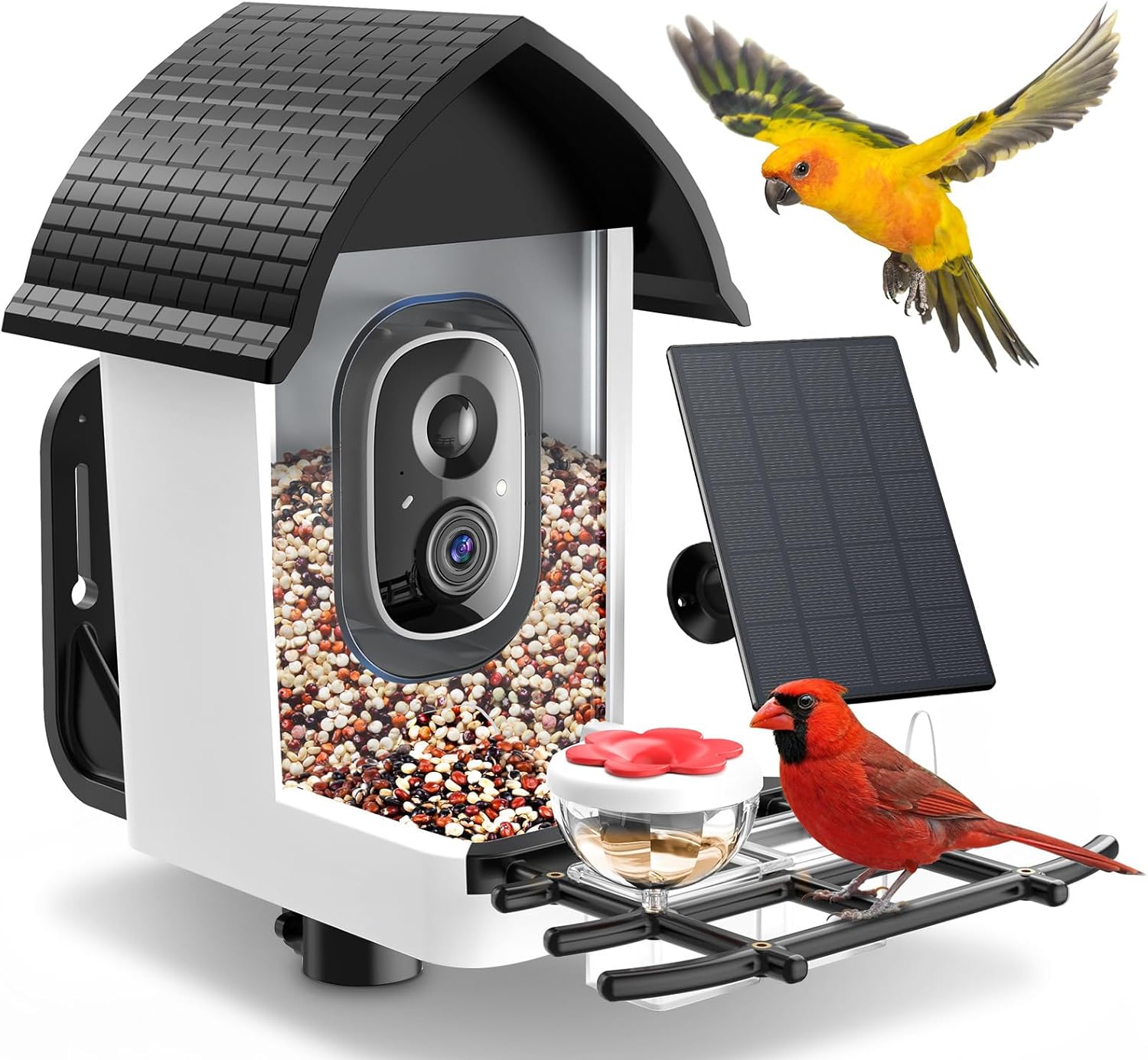 Bird Feeder with Camera - 2K HD Live View, AI Identification & Instant Alerts, Weatherproof for Outdoors, 2.4GHz WiFi Solar Powered Smart Feeder for Bird Lovers
