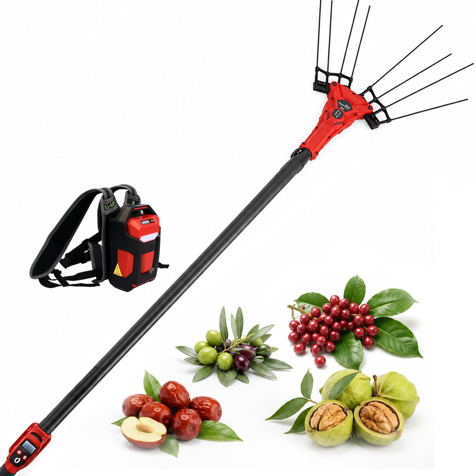 Raccoglitrice Frutta Elettrica, Raccoglitrice Olive Telescopica con Motore Brushless 250W/600W, 6 velocità, Display LED E Asta 175-270 cm per Rami Alti 250W-withBattery
