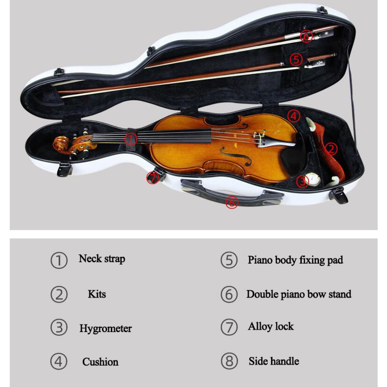 Amazon.co.jp: 4/4湿度計付きフルサイズバイオリンケース、バイオリン