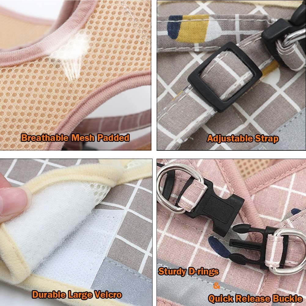 Ham FEimaX în Utilizare