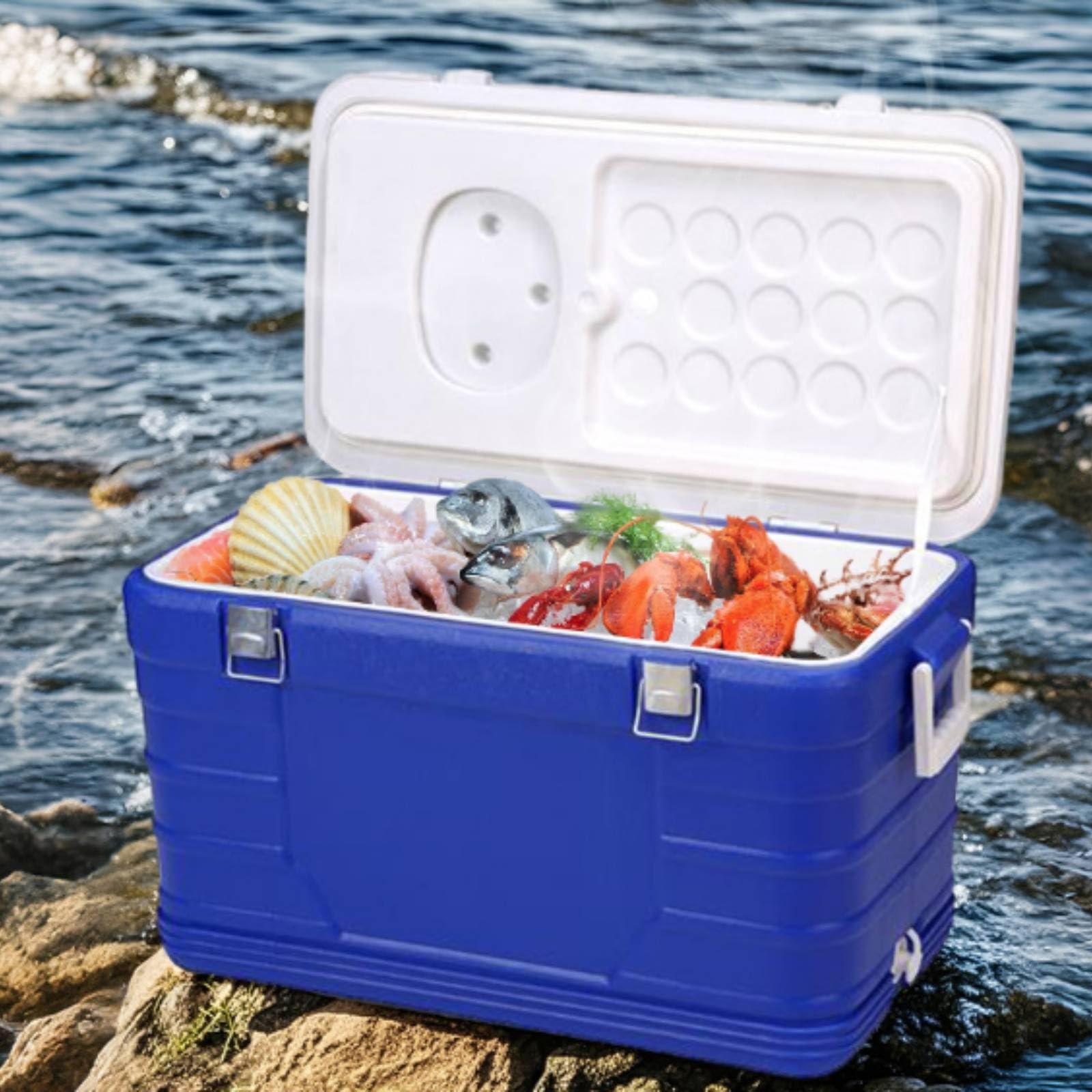 Harilla Frigo Portatile Isotermico da Esterno 52l Ghiacciaia Rigida Contenitore Termico Borsa Termica con Scarico E Presa Rapida Scocca Hdpe Pu con