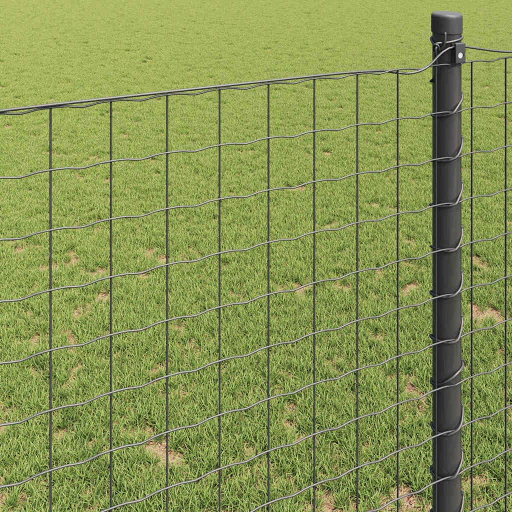 Ogrodzenie euro, szare, 0,4 x 50 m, żelazo powlekane PCW, do ogrodu i na taras, wytrzymałe metalowe ogrodzenie jako bariera dla zwierząt, łatwy montaż bez kopania