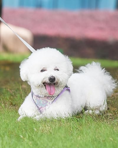 Miniatura 10 de Arnés para perros pequeños y medianos sin tirones, juego de arnés y correa para gatos, arnés para cachorros para perros pequeños, arnés para perro