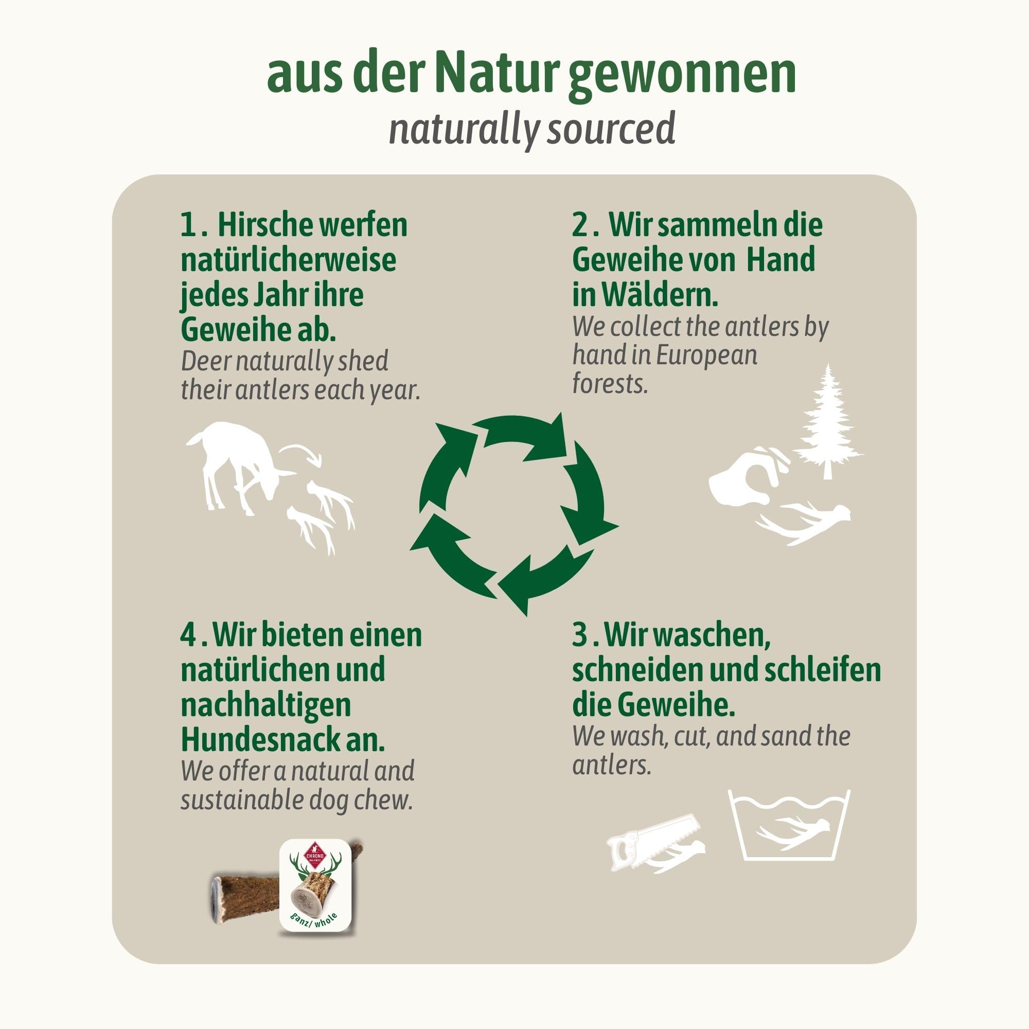 ChronoBalance® XS Kaustange für Hunde ganze Stücke als Kauspielzeug: 100% Hirschgeweih für Hunde, Hundespielzeug, Leckerli Zahnpflege, Kausnack, Geweih Kauknochen, Natürlich ohne Zusätze (5er Set)