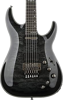 Amazon.com: Schecter Hellraiser Hybrid C-1 with Floyd Rose and