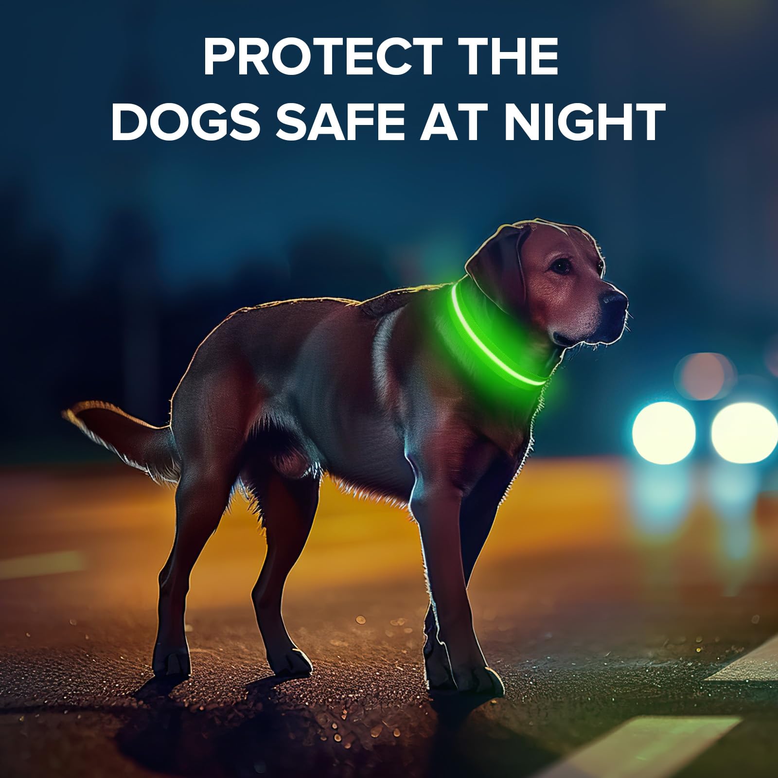 Collar de perro iluminado para caminar por la noche, collar de perro con luz LED recargable USB-C, brilla en la oscuridad, collar brillante impermeable, ajustable con 3 modos para perros