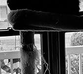 Review Image by Marilyn M. Stanley Marilyn M. Stanley