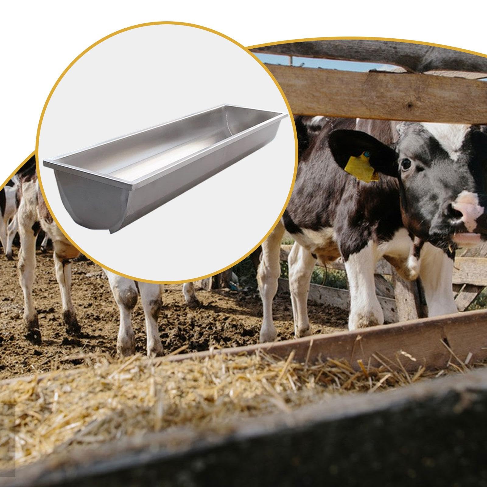 Mangeoire pour chèvres en Acier Inoxydable, Facile à Nettoyer, Abreuvoir pour Moutons, Chevaux, Vaches et chèvres