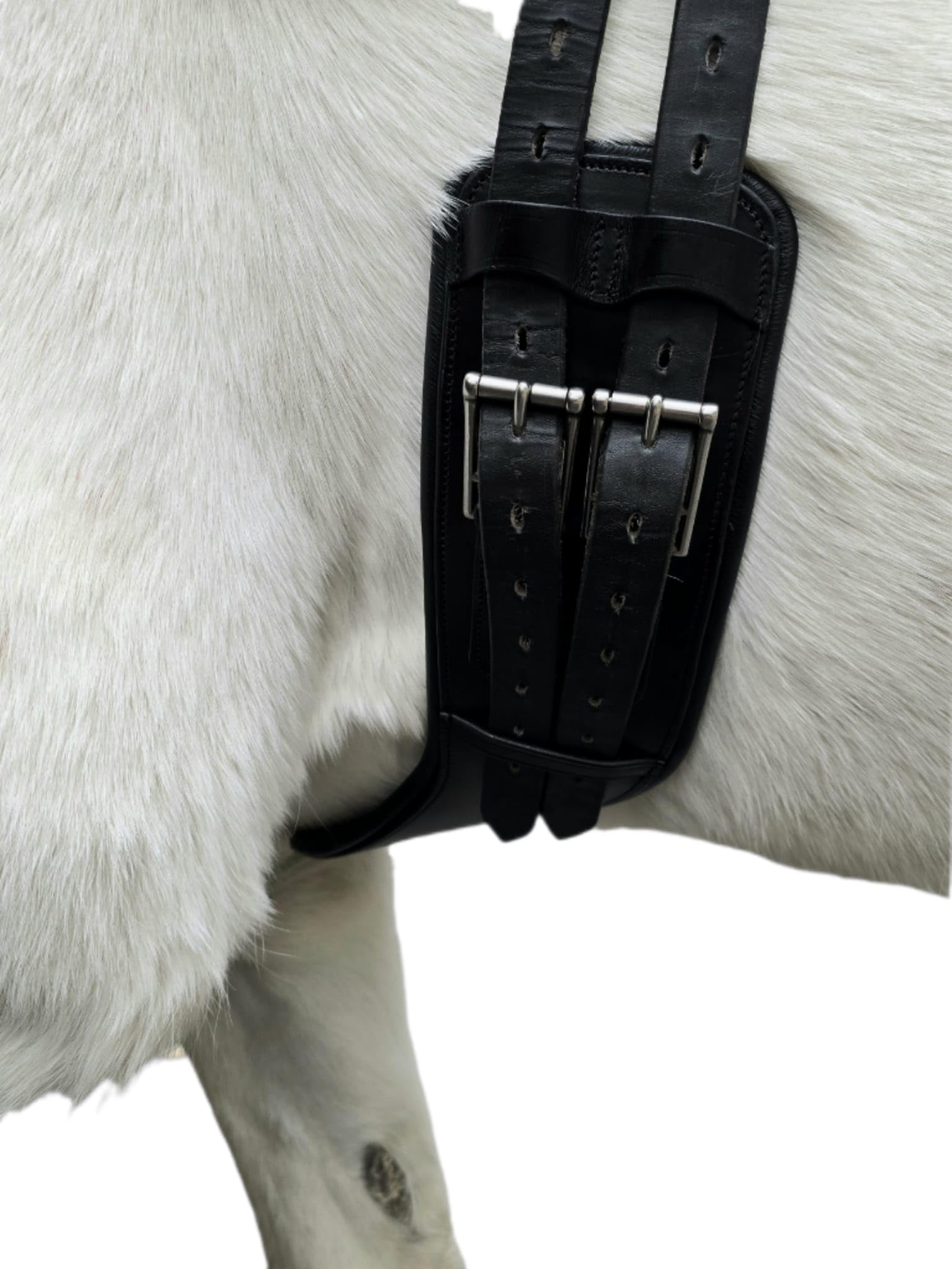 Leder Sattelgurt Soft Mondgurt ergonomisch Kurzgurt Ledersattelgurt 45 55 65 cm Tysons (65 cm)