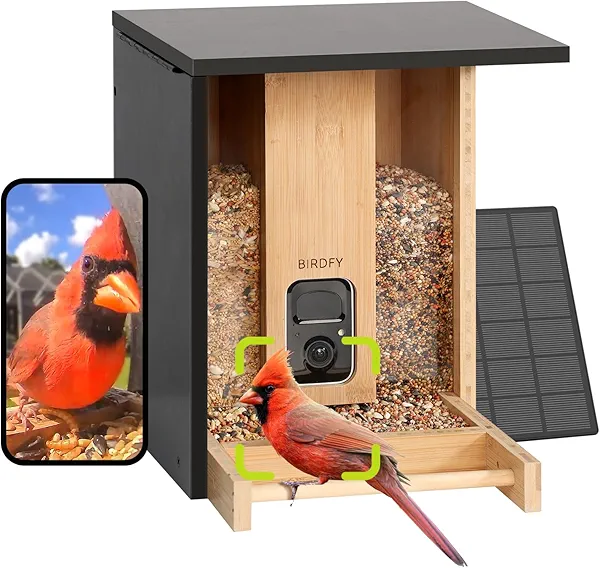 Birdfy Smart Bird Feeder with Camera, Solar Powered, Permanent AI Identify 6000+ Bird Species & Auto Record 1080P Video, Upgraded Durable Bamboo Wood, Ideal Gift
