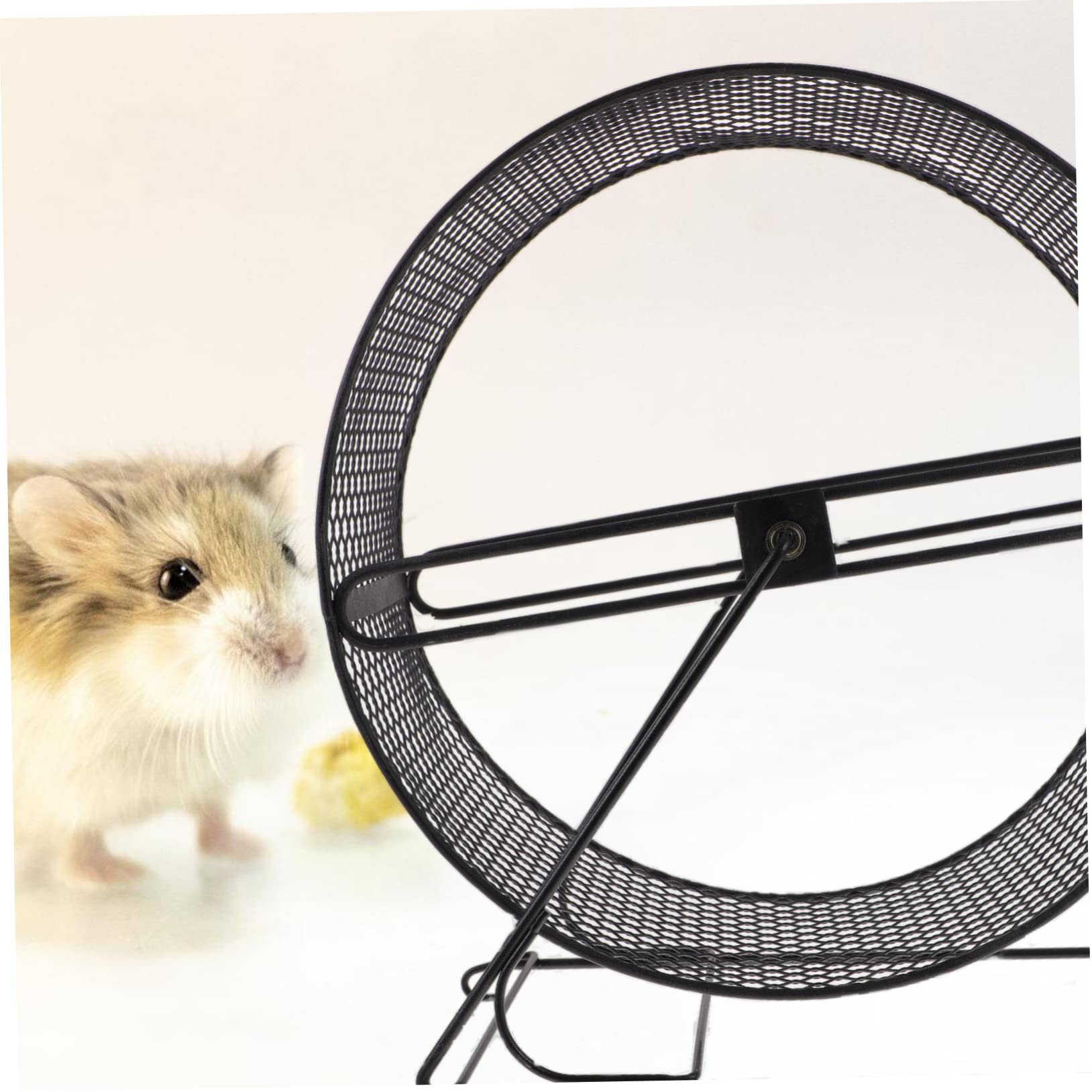 Ipetboom Ruota Per Criceti Silenziosa in Ferro Nero Gioco Esercizio Piccoli Animali Come Scoiattoli Ricci e Gerbilli Compagno Divertente Per Attività e Benessere
