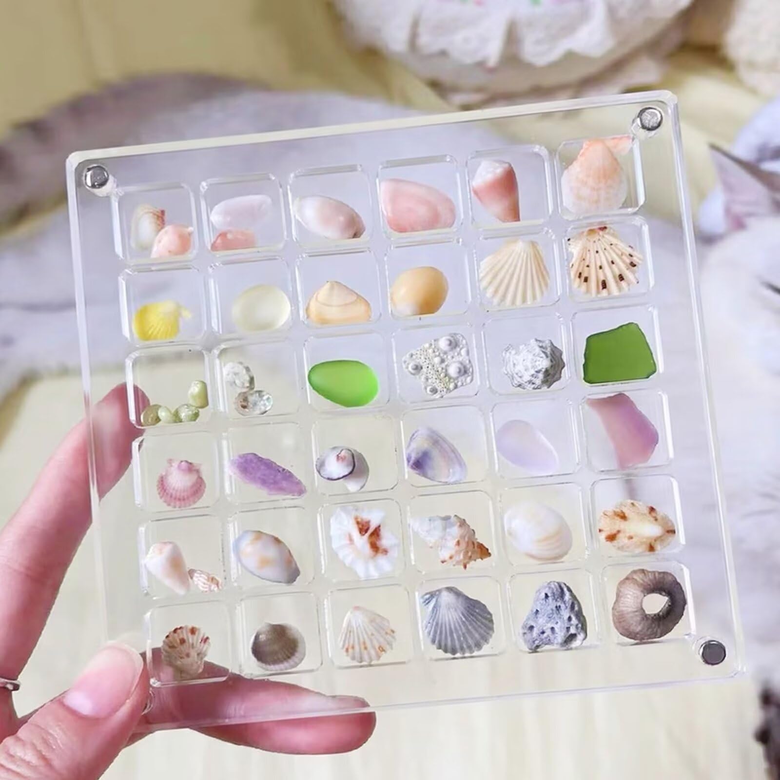 Acryl Organizer 100 Fächer - Muschel & Edelstein Display Mit Magnetverschluss