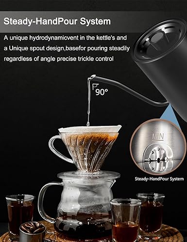 Miniatura 3 de Hervidor eléctrico de cuello de cisne con control de temperatura de precisión de 1 F, hervidor de café y té, hervidor de café y té, acero inoxidable