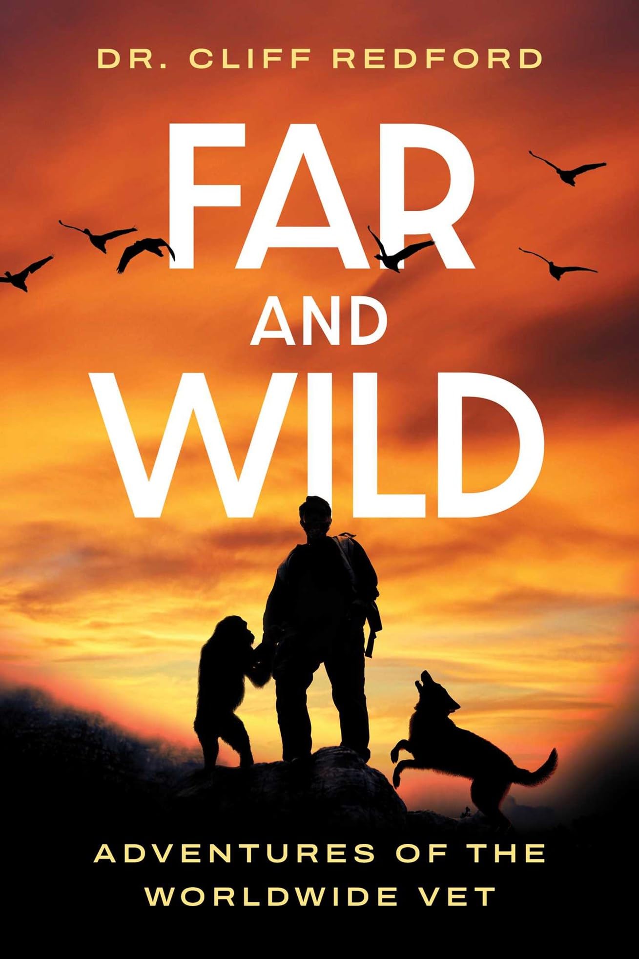 Far and Wild: Adventures of The Worldwide Vet