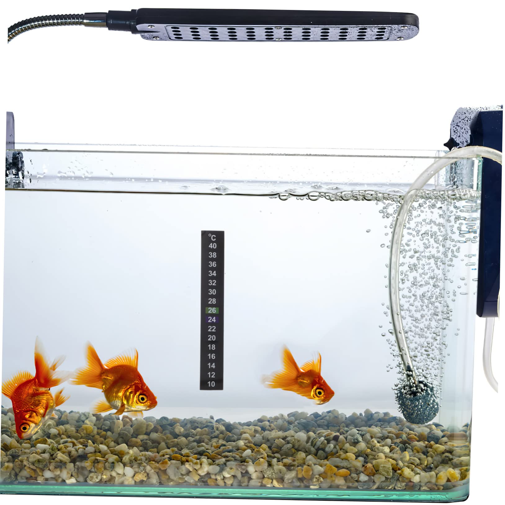 Happyyami Temperature Strip for Aquarium 10pcs Thermometer Sticker Sturdy Decorative Safe Easy to Stick on Fish Tank