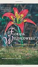 Florida Wildflowers: A Comprehensive Guide