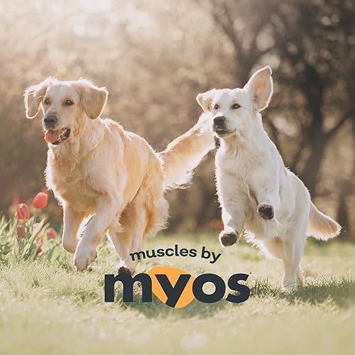 Miniatura 7 de MYOS Canine Muscle Formula - Suplemento de construcción muscular totalmente natural - Ayuda a reducir la pérdida muscular en perros envejecidos y