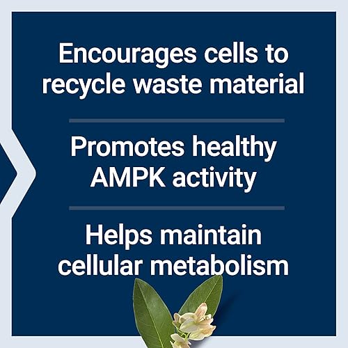 Miniatura 4 de Life Extension GeroProtect Autophagy Renew - Fomenta la limpieza celular y la longevidad - Vegetariana, sin gluten, sin OMG - 30 cápsulas