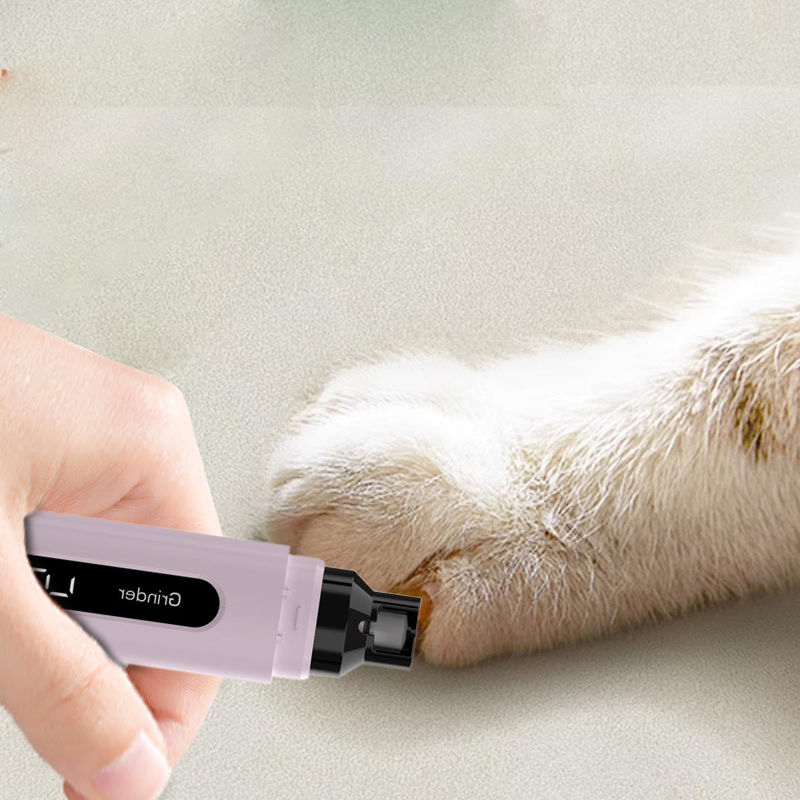 Lime À Ongles Pour Chien Soin Des Griffes Portable
