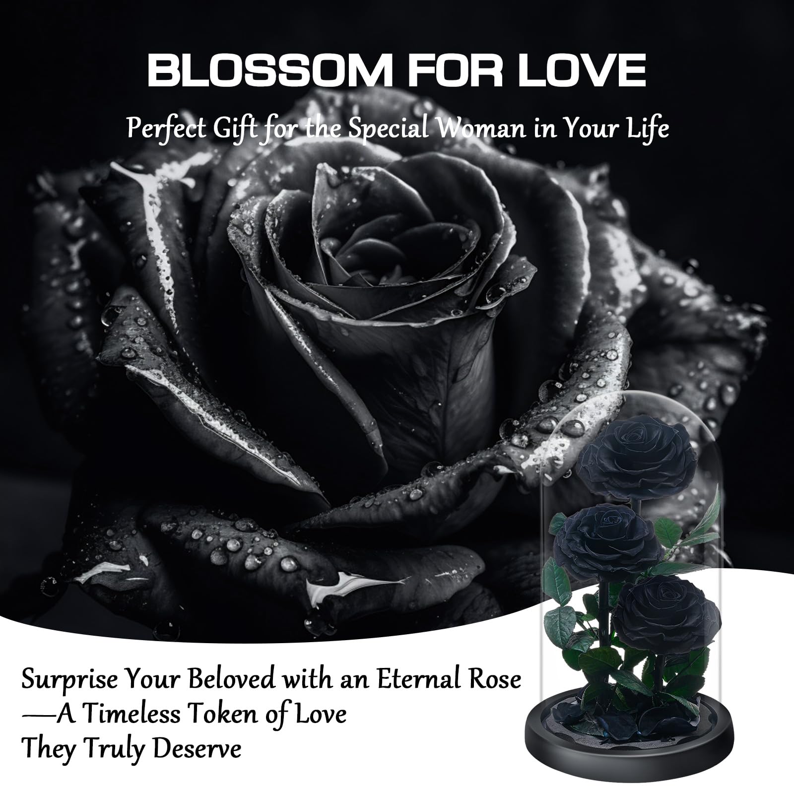 Rose Éternelle sous Cloche, Naturelle Fleur Eternelle Cadeau, Idée Boite Rose Eternel, Cadeau pour la Saint-Valentin, Fête des Mères, Noël, Anniversaire, Femme, Copine, Amie, Maman, Grand Mere