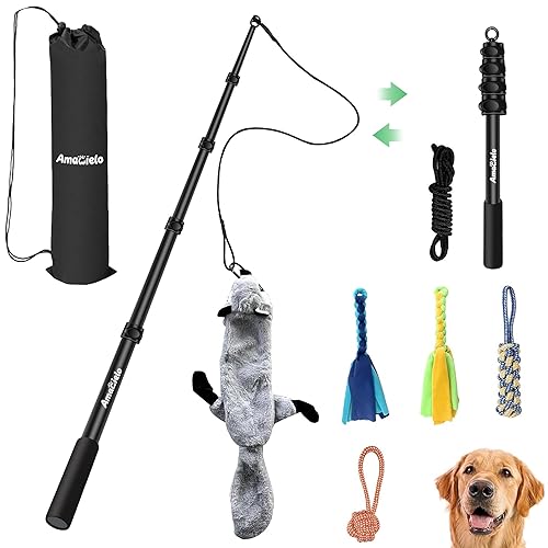 Flirt Pole for Dogs, Interactive Toys Tug-of-war for Dogs, Five-Section