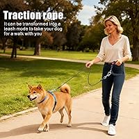 Vista 6 de Idepet Cinturón de seguridad para perro para automóvil, 2 piezas de cinturón de seguridad de perro de acero inoxidable a prueba de mordidas, arnés 3