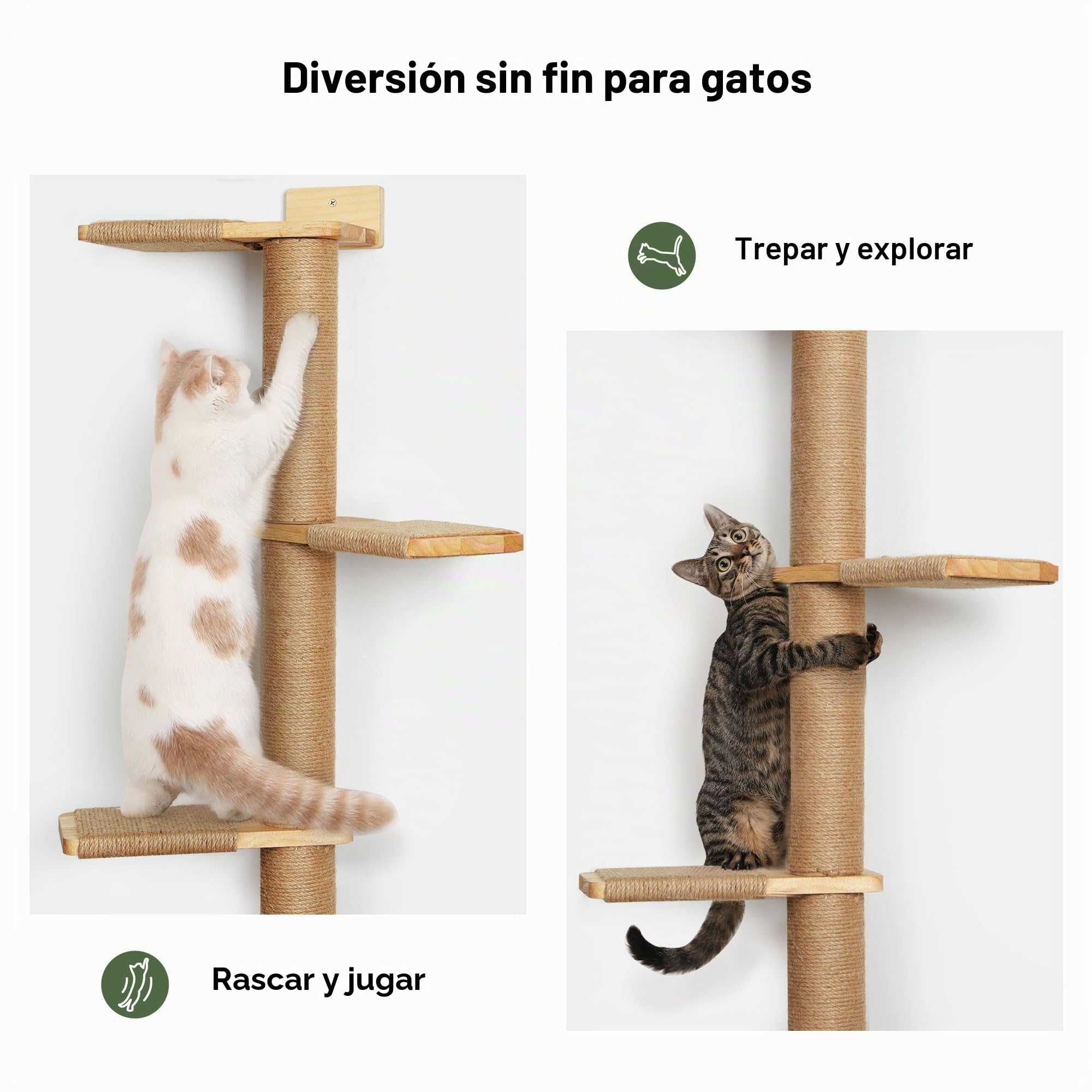 FUKUMARU Torre de 5 Niveles para Gatos 206 cm Madera de Caucho Natural Montado en Pared
