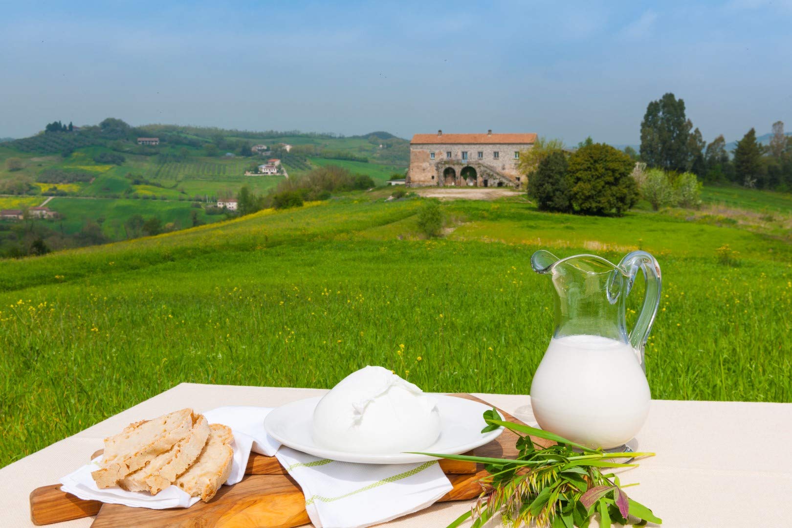 Mozzarella Aversana 100% latte di bufala fresco appena munto (Mozzarella di bufala treccia 2 da 500 grammi)