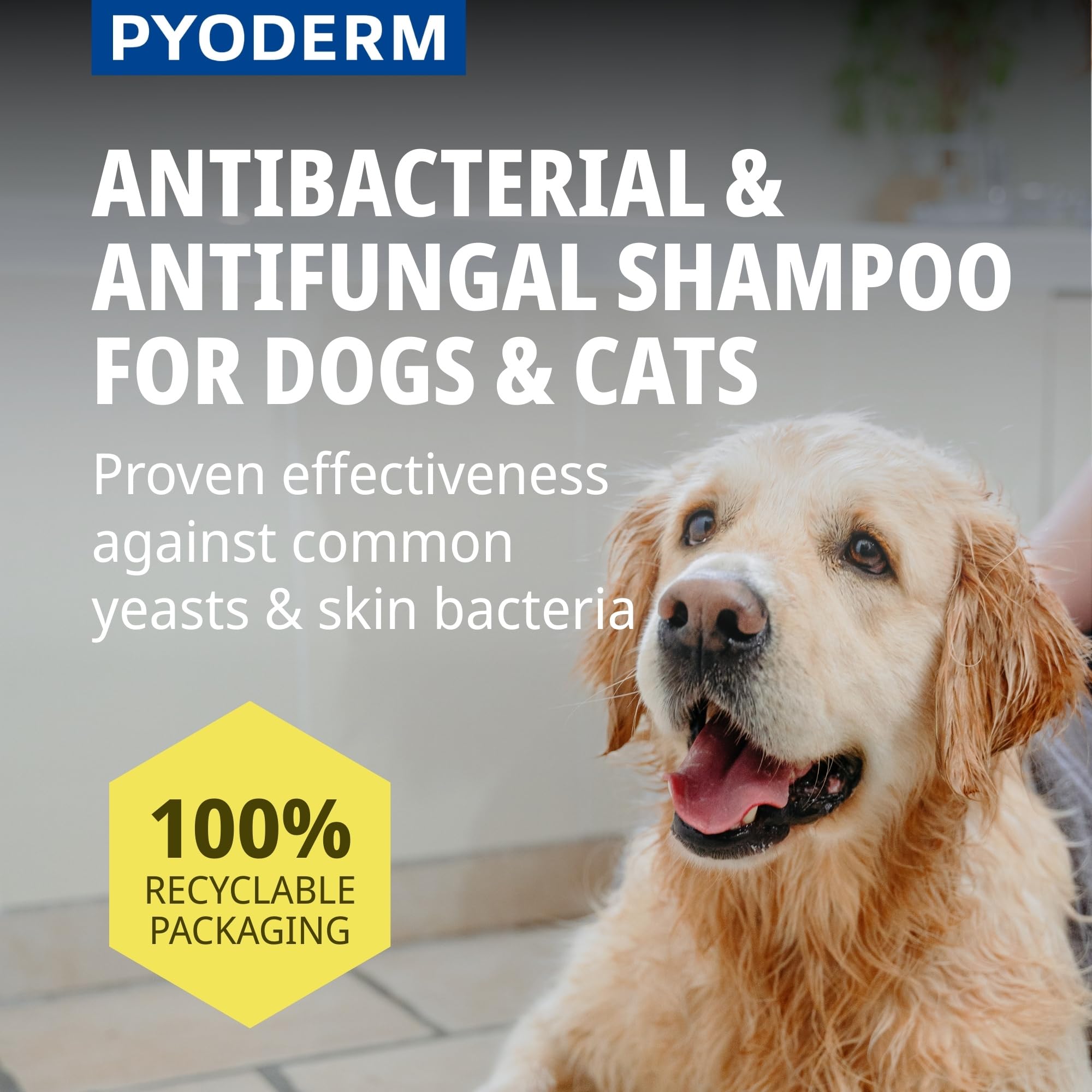 Pyoderm Champú Dermatológico 250ML para Pieles con Desequilibrio Microbiano para Perros Y Gatos