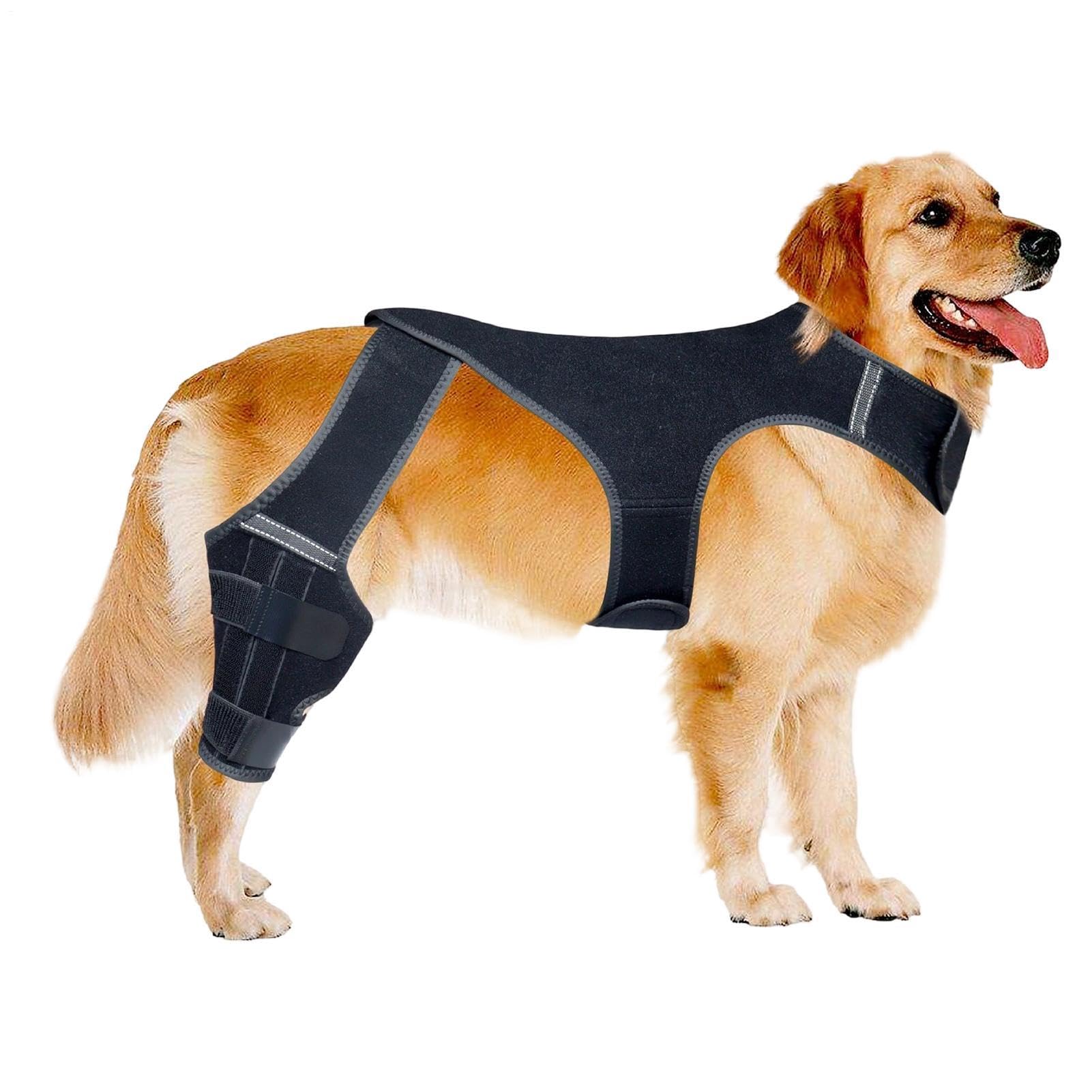 Kniebandage für Hunde | Verstellbarer Gelenkarm – Hinterbeinschiene für Hunde mit 4 Stabilisatoren aus Metall | für Spaziergänge, Wandern, Outdoor-Aktivitäten, Park, , Reisen, Haus
