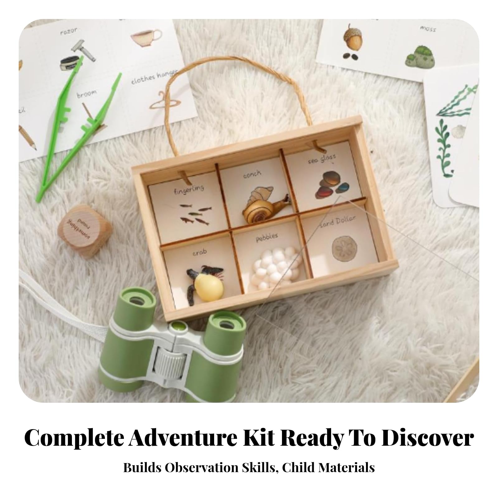 Kit di Esplorazione con Custodia in Legno Resistente Ideale Come Regalo per Apprendimento All'aperto, Passeggiate Natura, Gioco Immaginativo