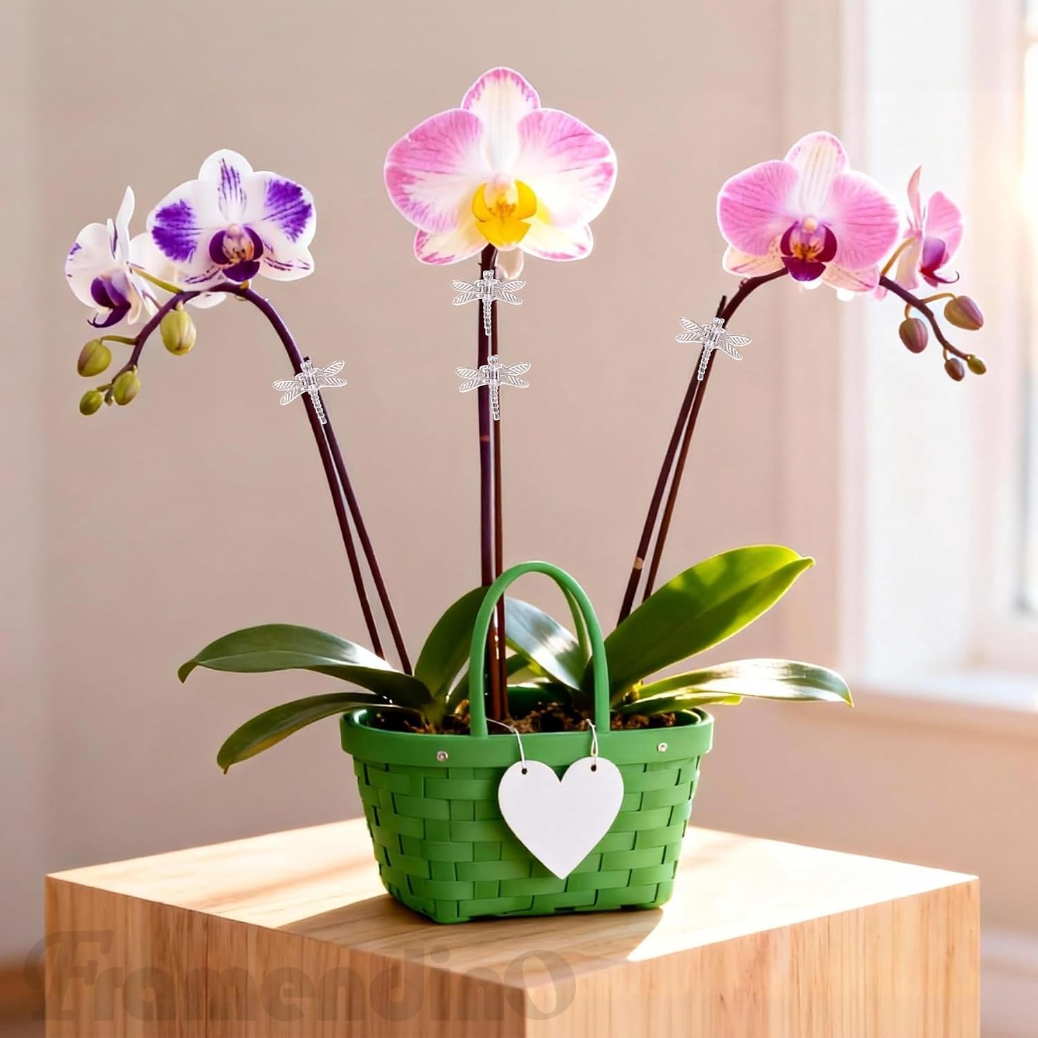 Framendino, 100 Pack Clear Dragonfly Orchid Clips Garden Plant Support Vine Stem for Climbing Plants Flowers image 5