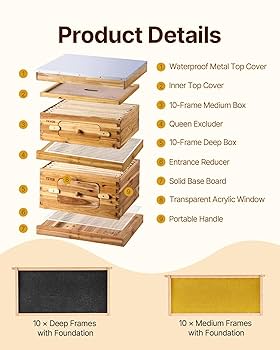 BEE-HIVE フライヤー BEE-HIVE フライヤー BEE-HIVE フライヤー Amazon.com: BeeTech