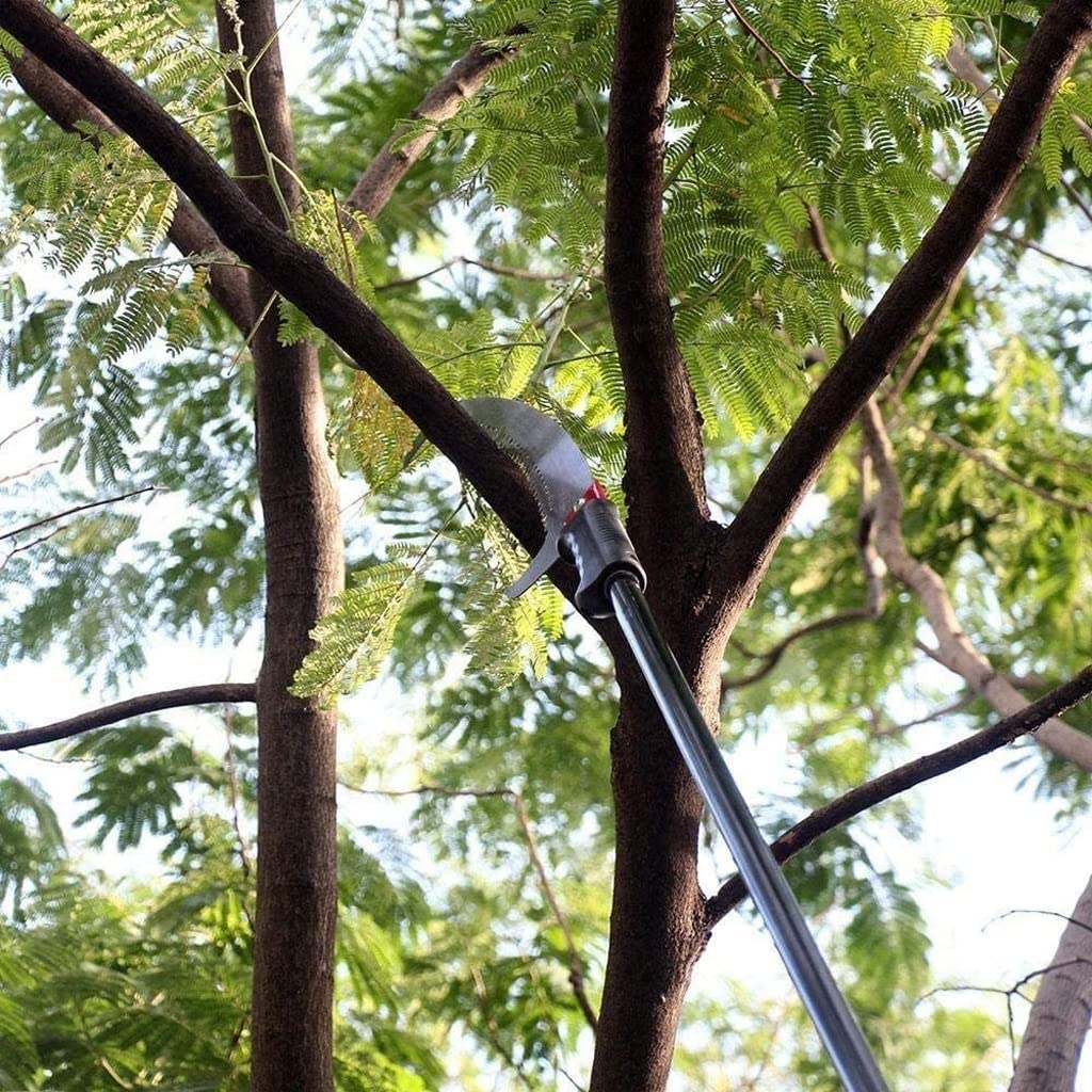 Sierra de pértiga telescópica, Sierra de pértiga telescópica Extensible para paisajismo, Utilizada para podar Ramas y Hojas, Sierra para Ramas de árboles frutales de Gran altitud, herr (5.5M)