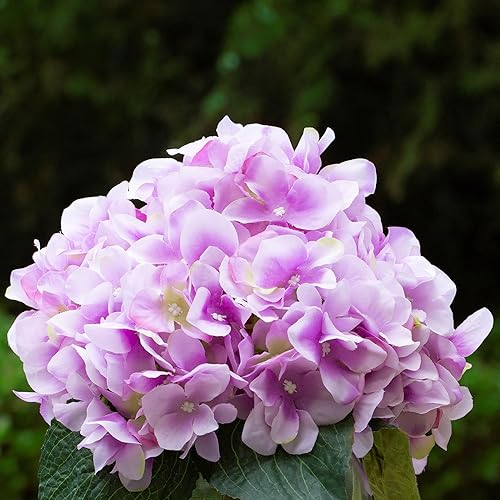 Miniatura 9 de Hortensias artificiales de seda en jarrón con agua sintética, arreglos florales de seda en jarrón para decoración del hogar, mesa de boda (crema)