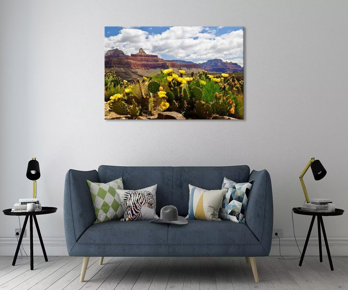 Amazon.com: The Grand Canyon and Cactus Wall Art for Living Room