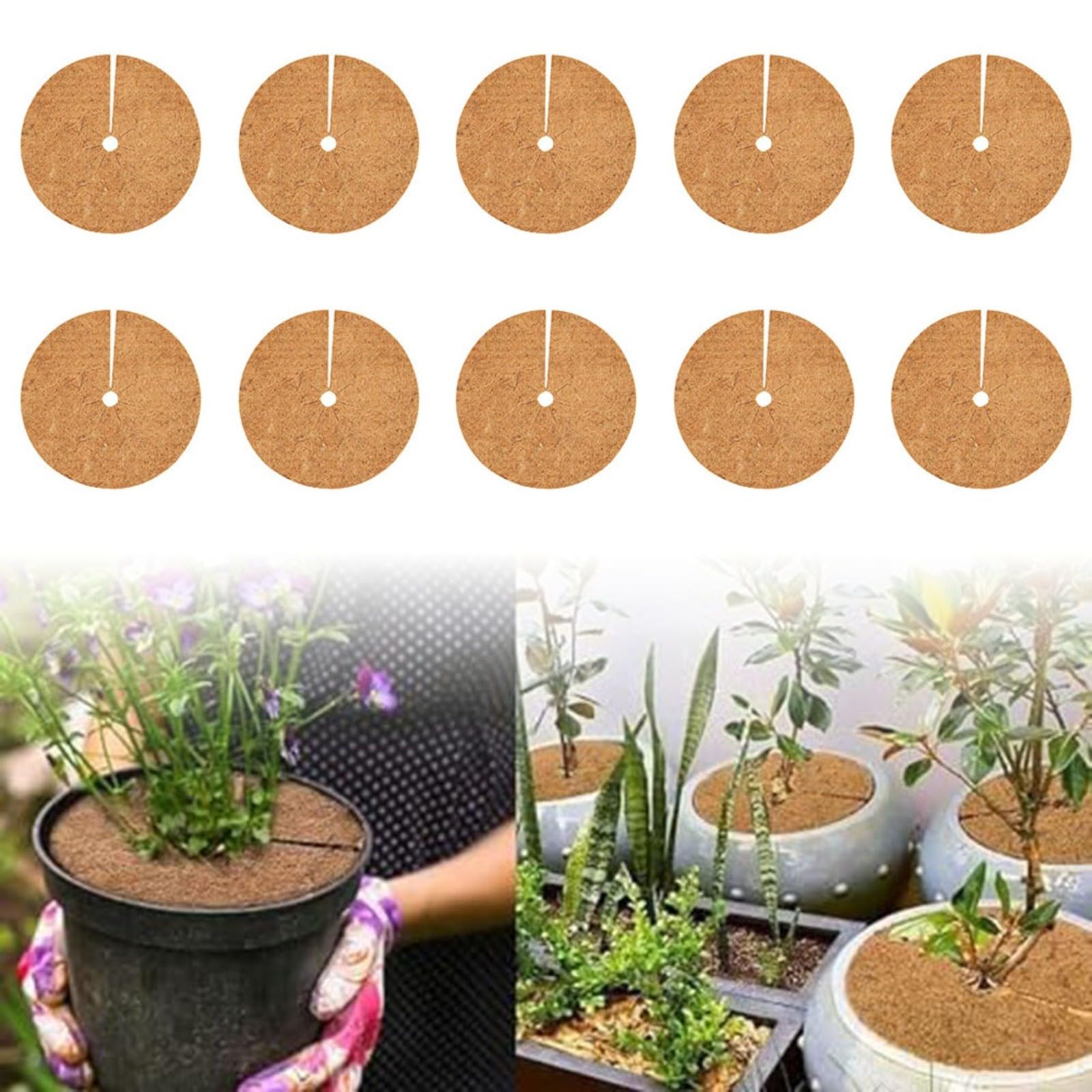 Maty ściółkowe z włókna kokosowego, 10 szt. Okrągła mata z włókna kokosowego 20 cm/30 cm do słojów drzew(30 * 30 * 0.5-0.8cm)