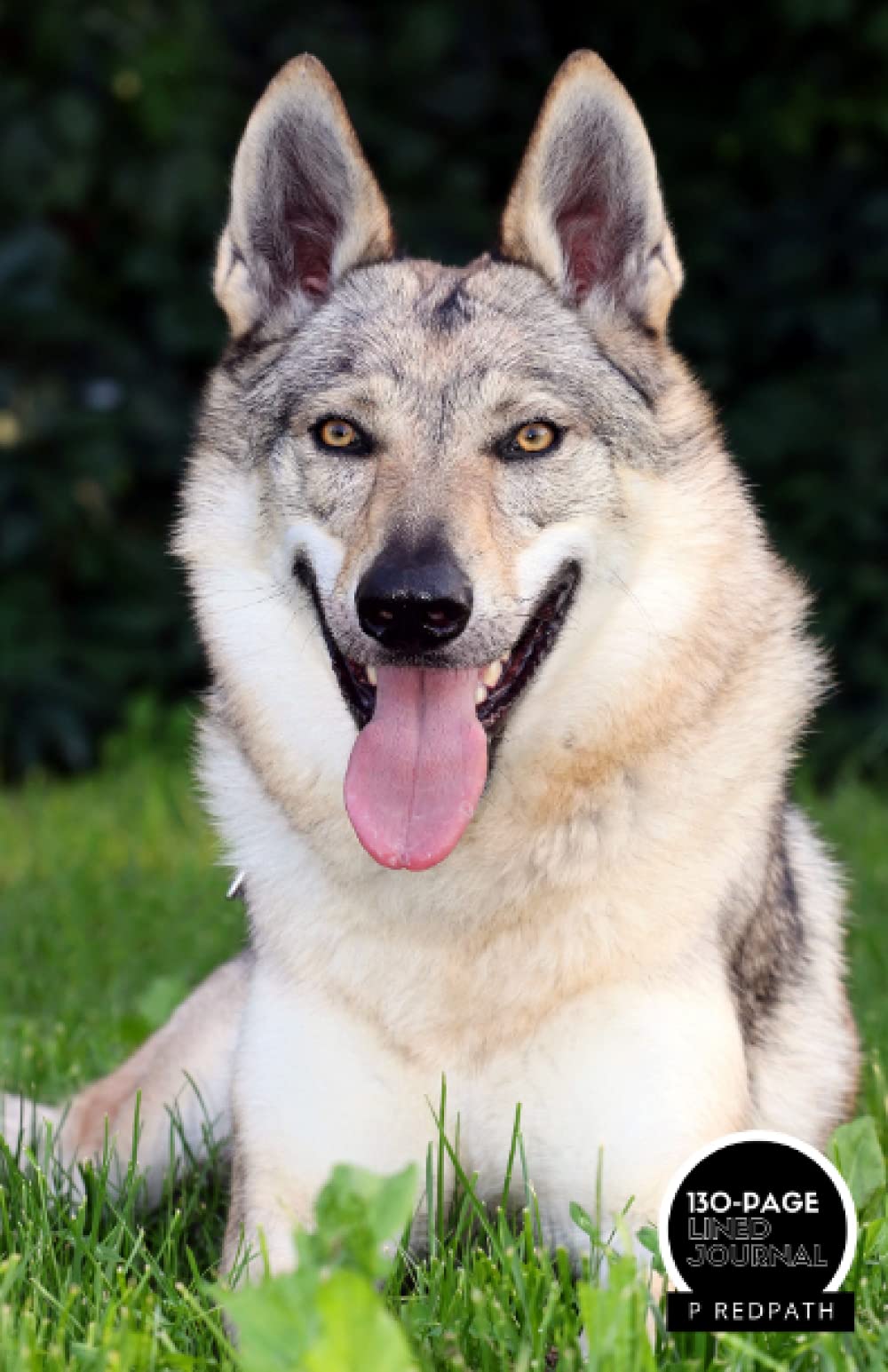 Are Czechoslovakian Wolfdogs Legal In Canada