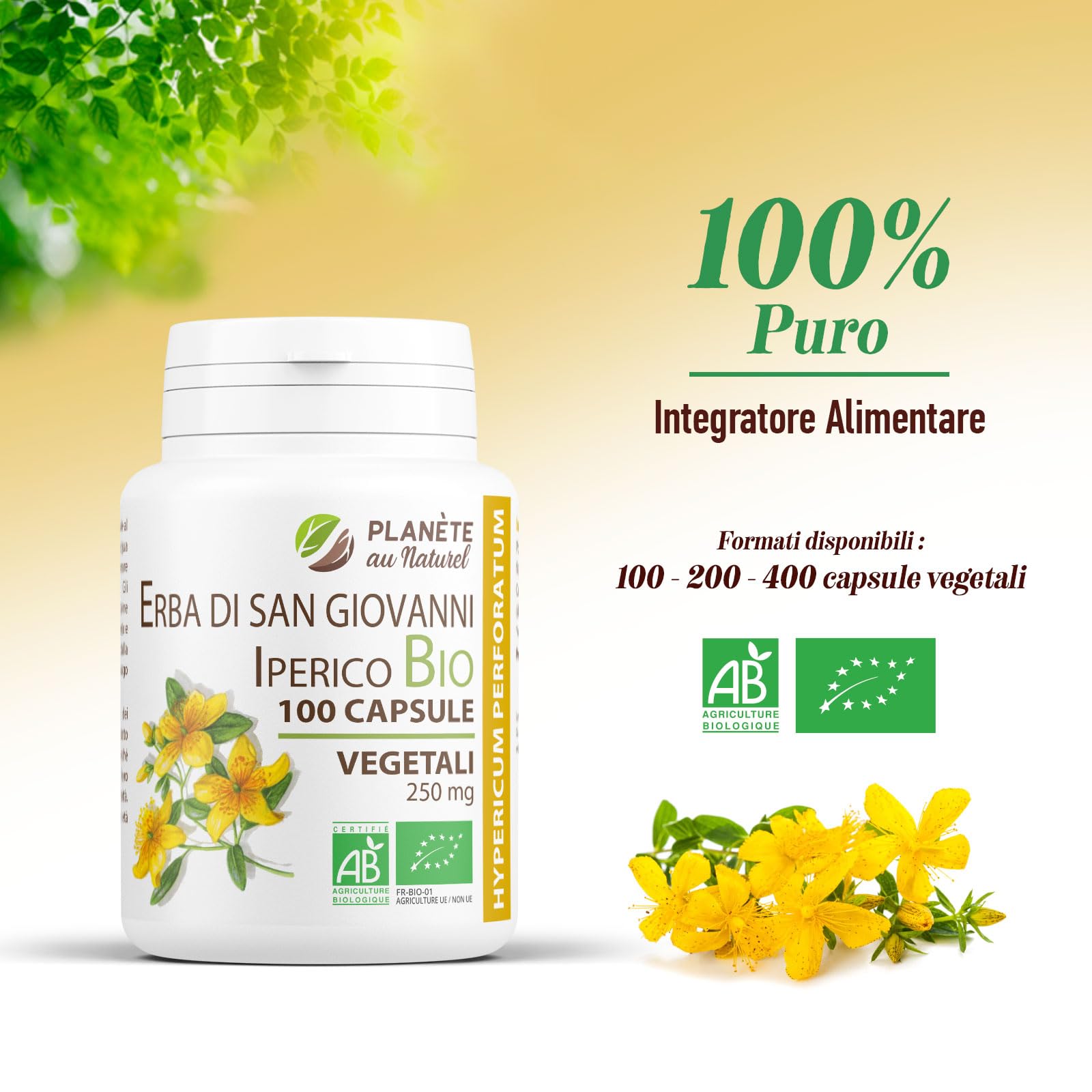 Erba di San Giovanni Bio 250mg - 100 capsule - Hypericum Perforatum - Natureen | Planète au Naturel