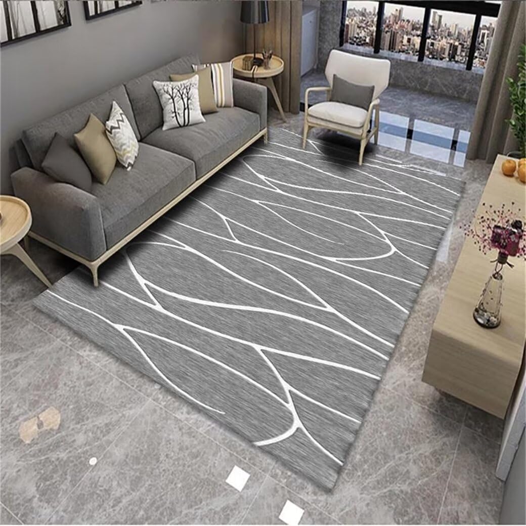 Moquette salon gris 90x160cm tapis de chambre adulte et tapis salle a manger design