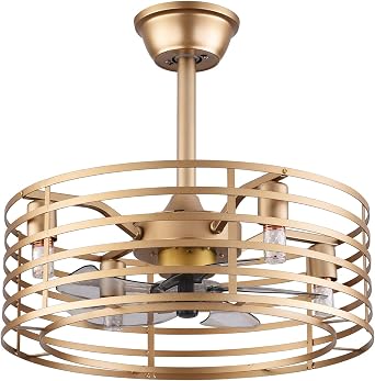 TFCFL Caged Ceiling Fan with Lights, 20 Inch Industrial Low Profile Chandelier Fan with Controller 4-Light 3-Speed Timing for Indoor Bedroom Living Room Golden