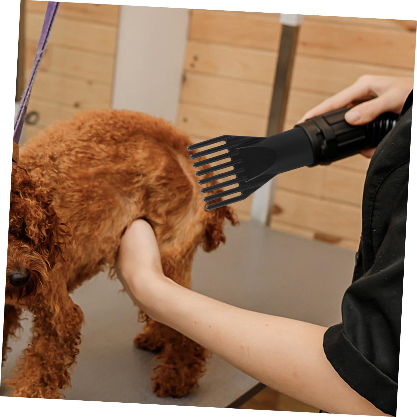 Beavorty Pet Blow Dryer Nozzle Hair Dryer Drying Nozzle Reusable Comb Attachment