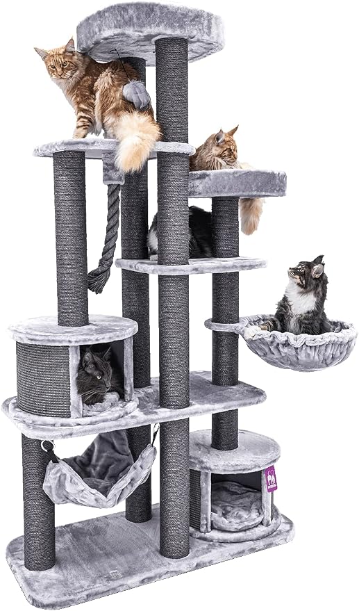 Schne Xxl Kratzbaum Maine Coon Bild