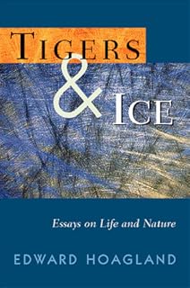 Tigers & Ice: Reflections on N