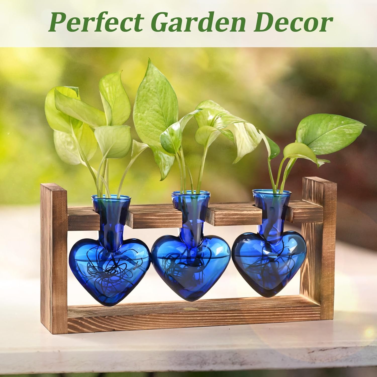 Lifecapido Heart Shaped Propagation Stations, Plant Terrarium with Wooden Stand, Plant Propagation Station for Hydroponics Plants Office Garden Home Decor, Gifts for Women Plant Lover (3 Vases, Blue) - Image 5