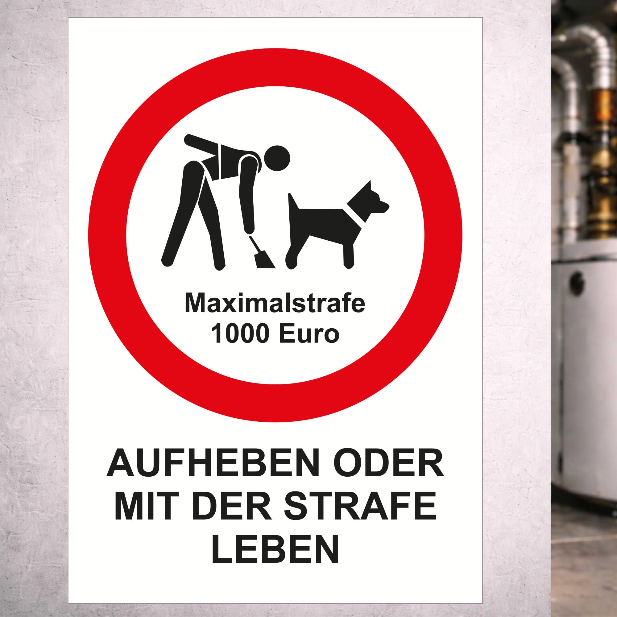 Indigos UG - Aufkleber Hunde Kot - Strafe 1000 Euro - 594x840 - Hinweisschild Warnschild Sicherheitsschild - Sticker - für Innen und Außen