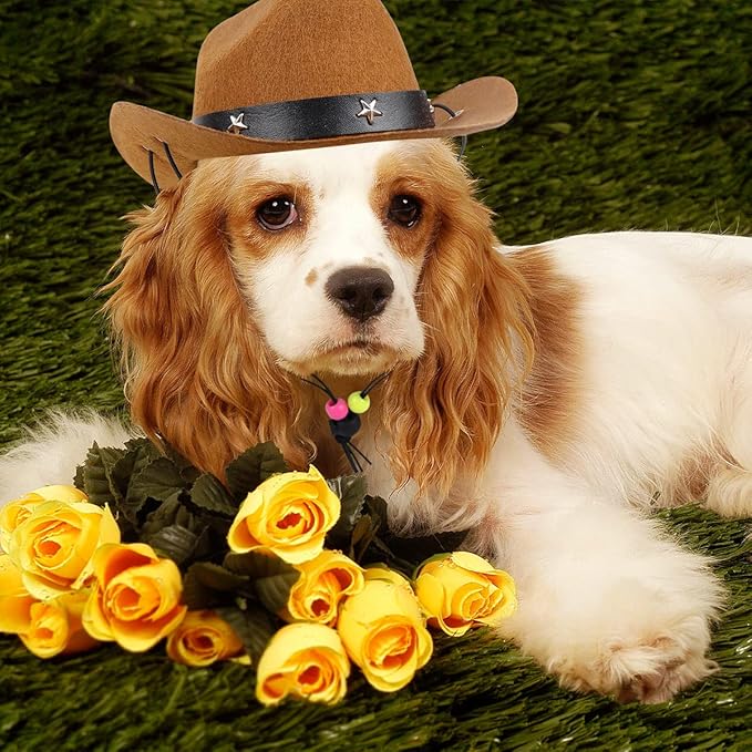 Sombrero Vaquero para Perro Ajustable, Disfraz para Mascotas Pequeñas miniatura 5