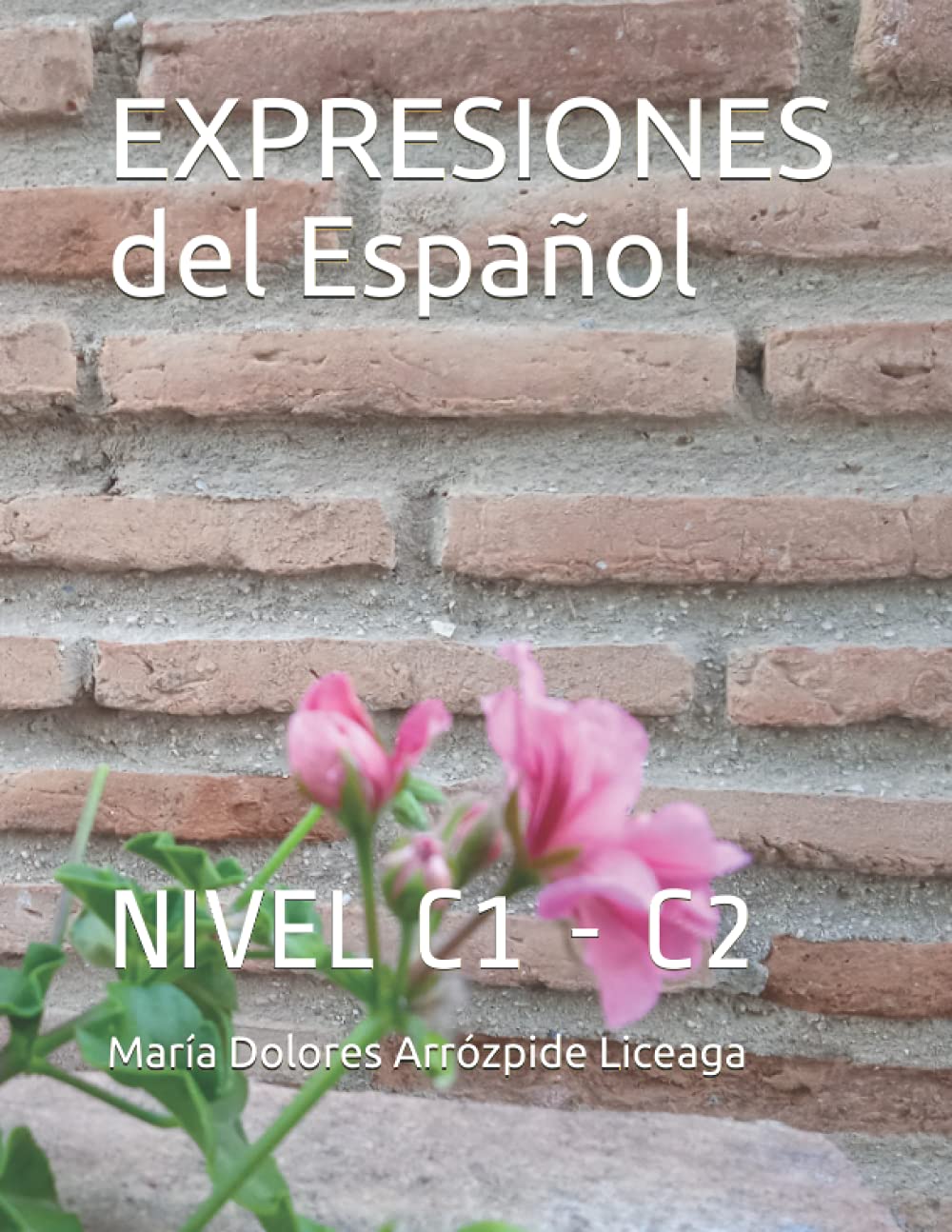 EXPRESIONES del Español: NIVEL C1 - C2